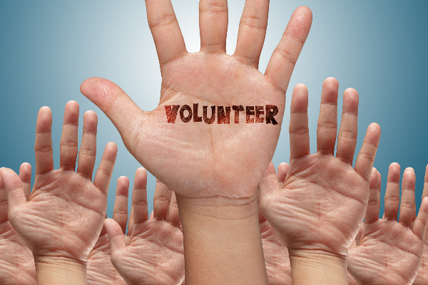 Image representing Voluntary, Community & Social Enterprise courses by Social Enterprise Kent CIC