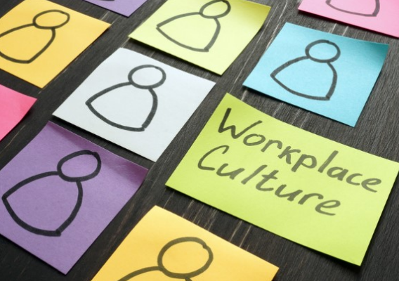 Image representing CPD Understanding Workplace Culture courses by Social Enterprise Kent CIC